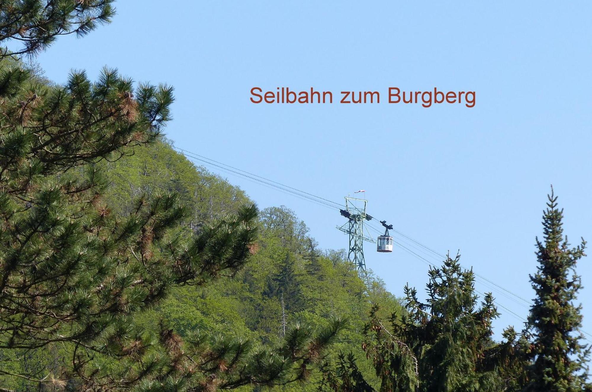 Fewo Parkblick Mit 2 Baedern Apartment Bad Harzburg Exterior photo