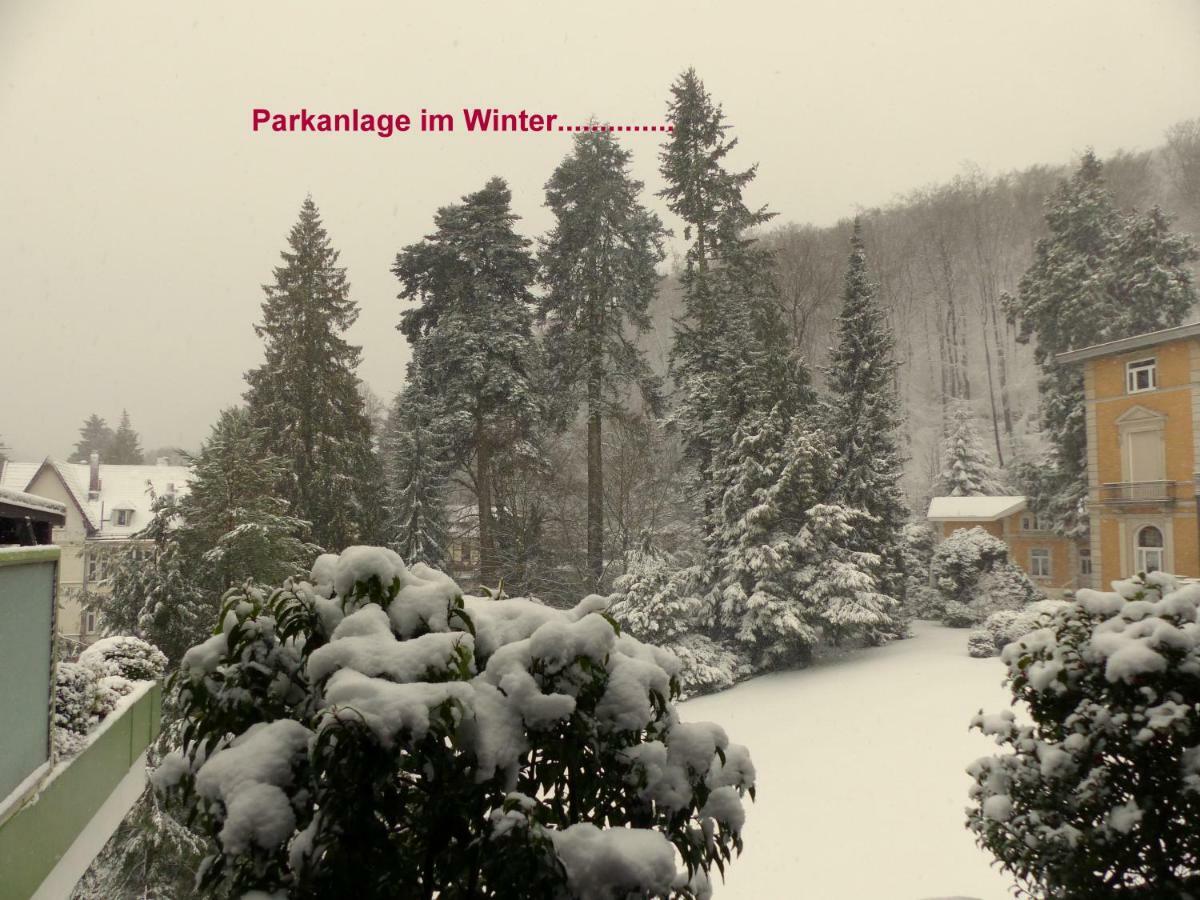 Fewo Parkblick Mit 2 Baedern Bad Harzburg Exterior photo